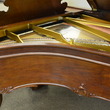 1905 Steinway Louis XV, Sketch 301 - Grand Pianos